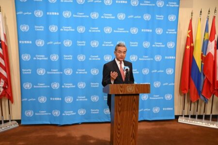 Chinese FM at UN Security Council Chinese FM at UN Security Council