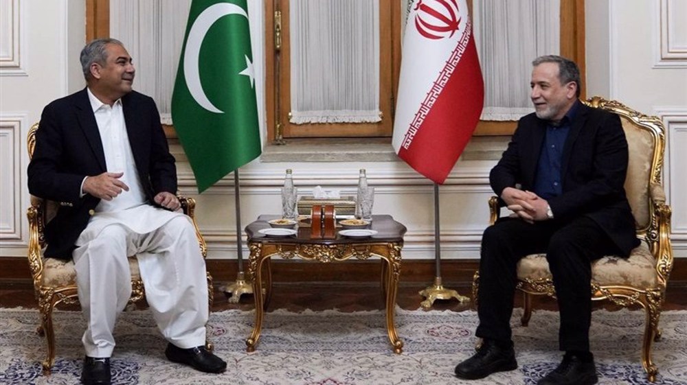 Iranian Foreign Minister Abbas Araghchi and Pakistani Interior Minister Mohsin Naqvi