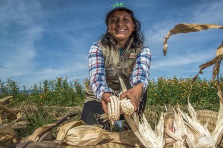 woman farmer corn mexico 2 Photo: Ministry of Agriculture of Mexico